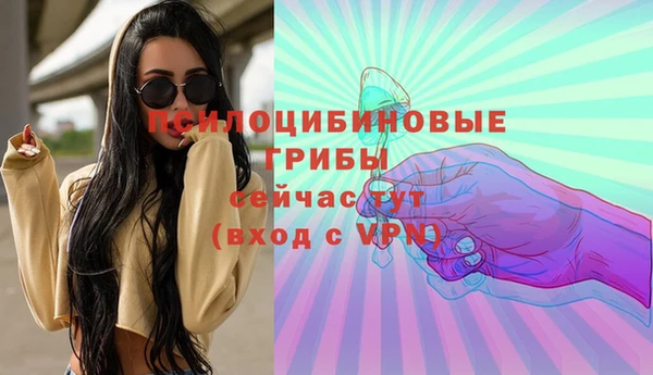 дурь Наволоки