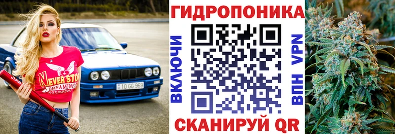 Каннабис план  наркотики  KRAKEN как зайти  Тогучин 